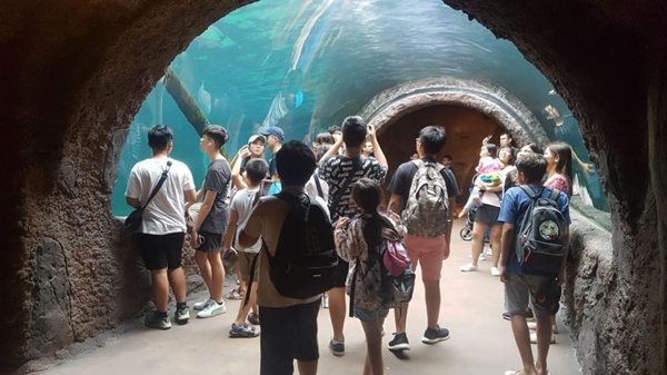 Các bạn học sinh tham quan thủy cung tại trại hè Singapore